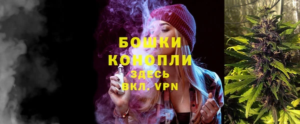 бошки Белокуриха