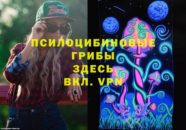 spice Беломорск