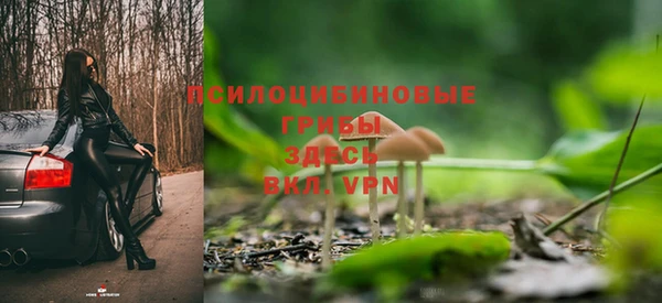 spice Беломорск